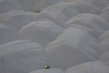 9 June 2008 Zen garden stone on black sand with pattern.