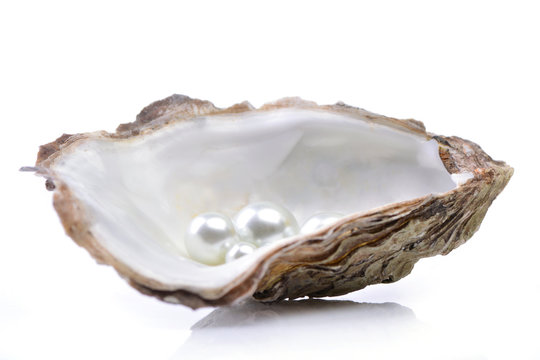 Pearls on a white background