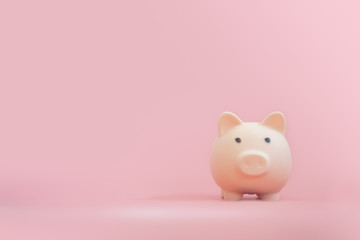 Cute of piggy bank pig pink on pink pastel background