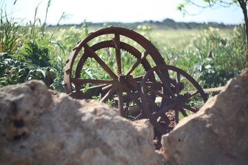 la rueda de arado