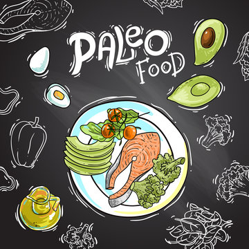 Paleo food illustration. Hand drawn vector picture