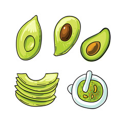 Avocado vector illustration. Hand drawn beautiful picture with green avocado.