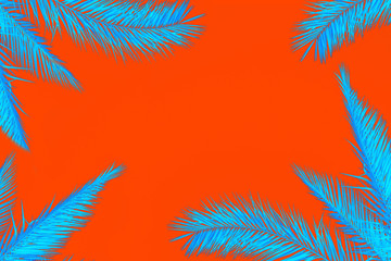 Trend colors 2020 on palm tree leaves. Bright lush lava background