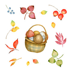 Floral Watercolor Set. Autumn Forest Elements. Branch. Mushrooms. Berries. Botany. Fall Season. Illustration - 336095979