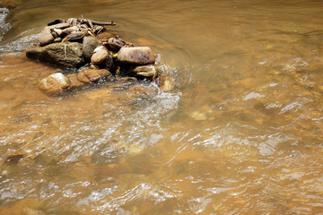 Waterfall and stream on the rock of tropical rainforest and evergreen forest in national park at Thailand