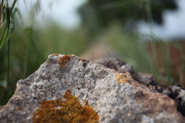 piedras en el camino