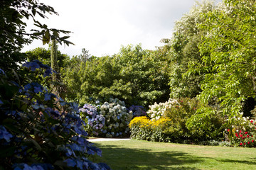 Saint Austell (England), UK - August 19, 2015: The Lost Gardens of Heligan, Cornwall, England,...