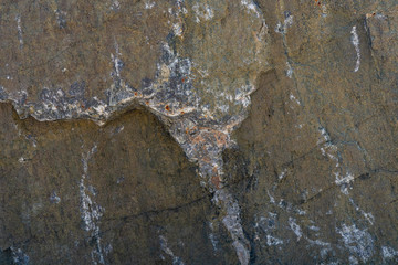 Texture of natural rock granite natural rock granite, magmatic structure with quartz and mica and traces of erosion.