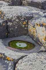 Detailansicht einer Basaltsäule mit einer Pfütze bei den  Giant's Causeway in Nordirland