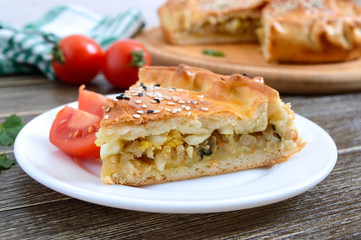 Cabbage pie. Piece of tasty freshly baked homemade vegetable pie with cabbage, spinach, eggs and sesame seeds