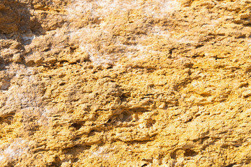 Texture of natural rock shell of rocky rock, marine life structure with limestone and traces of erosion.