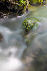 Close up of stone in river with green overgrowth. Long exposure of a mountain stony creek inside in the forest.