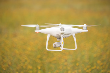 Flying drone above the yellow field