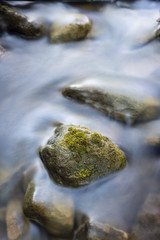 Close up of stone in river with green overgrowth. Long exposure of a mountain stony creek inside in the forest.