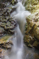 Photo of nature - Long exposure of a mountain stony creek inside in the forest. Small mountain rocky river.