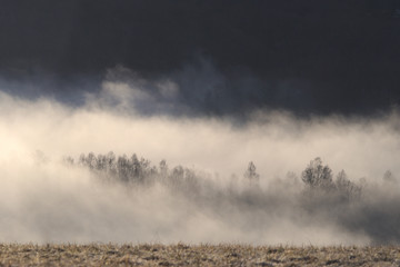 霧の高原風景