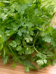 ハーブ　チャービル
