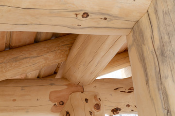 new wooden house made of round logs.