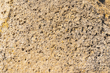 Texture of natural rock shell of rocky rock, marine life structure with limestone and traces of erosion.