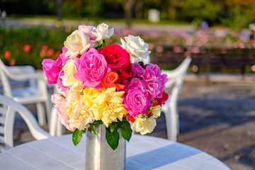 Expo'70 Commemorative Park (Bampaku Park) In Osaka, Japan