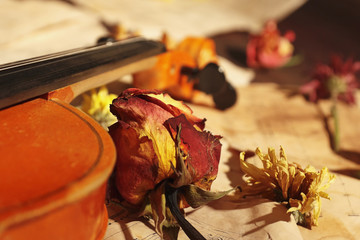 Dried flowers, rare violin and old sheet music close up. Selective focus.