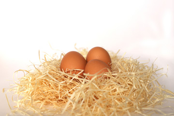 Three eggs lying in a nest on a white background, isolation. Eggs in the nest.