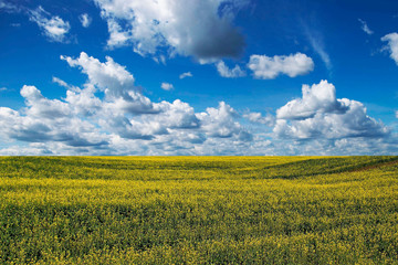 Obraz premium image of a blue sky against a background of white clouds and their reflection