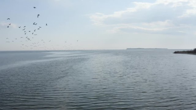 Top cinematic aerial view to the blac ksea with a lot of seagulls. Flying over the sea. Drone footage. 