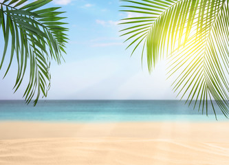Tropical sandy beach on sunny day, space for text