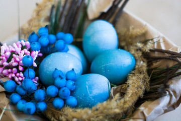 Easter holiday, background and decor of painted blue eggs in nest of flowers, branches. Religion and traditions.