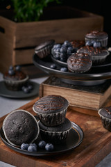chocolate vegan muffins on a wooden background. Blueberry  on side. Dark and moody photo style.