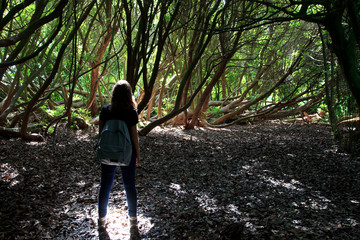 Saint Austell (England), UK - August 19, 2015: The Lost Gardens of Heligan, Cornwall, England, United Kingdom.