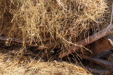 dry haystack on a farm in autumn