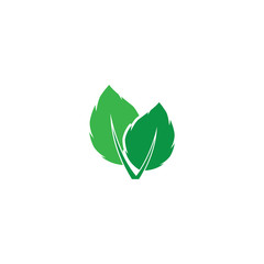 Mint leaves flat vector icon