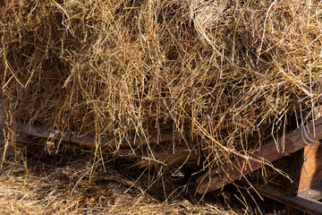 dry haystack on a farm in autumn