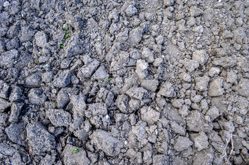 Cultivated fertile land. Earth texture background. Plowed soil background.