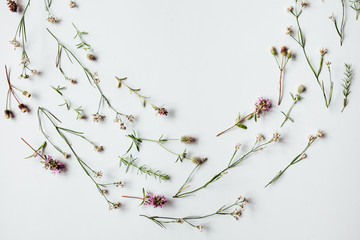 Colorful pattern of field flowers on a white background