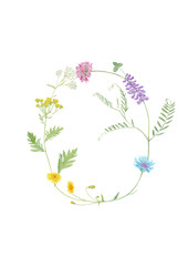 Watercolor hand drawn wild meadow flower alphabet collection. Letter O (cow vetch, dandelion, clover, cornflower, tansy, yarrow)  isolated on white background. Monogram element for summer design.
