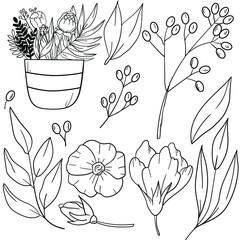 Contour vector illustration with flowers in pot, berries, leaves on white background. Coloring book idea. Hand drawn cartoon illustration. Good for printing. Illustration with flowers.