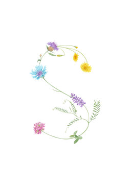 Watercolor hand drawn wild meadow flower alphabet collection. Letter S (clover, cornflower, cow vetch, dandelion)  isolated on white background. Monogram element for summer design.