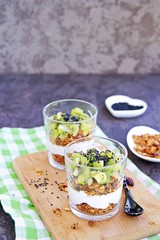Homemade baked oat granola with nuts, dried cranberries and honey and unsweetened natural yogurt and kiwi in a glass glass on a dark concrete background. Healthy breakfast.