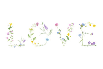 Watercolor hand drawn wild meadow floral word Love isolated on white background. Flower letter for poster, print, summer card, wedding design etc.