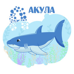 Shark. vector illustration shark. sea. ABC card.  alphabet for children