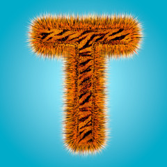 Tiger english alphabet and number 3D rendering of funny fur font isolated on blue background. Halloween concept. 3d illustration