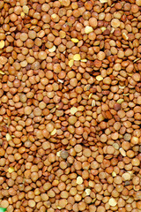 Brown lentils. Background texture of grains of brown lentils. Top view of lentil grains. Close-up, vertical, top view. Concept of healthy eating and agriculture.