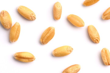 Obraz premium Seed of Wheat grain on white