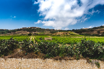 Gozo Island ,Malta