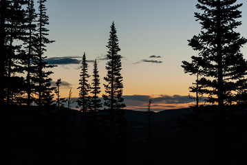sunset clouds and trees in the rocky mountains 