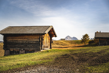 Obraz premium old barn in the countryside