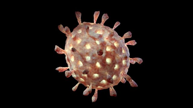 Coronavirus  isolated on black background. Looped animation with coronavirus 2019-vCov, covid-19. Microscope virus close up - 3d render animation 4K.